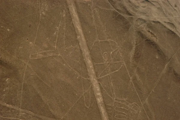 Σχέδια Γραμμές Nazca Lineas Nazca Στην Έρημο Της Nazca Περού — Φωτογραφία Αρχείου