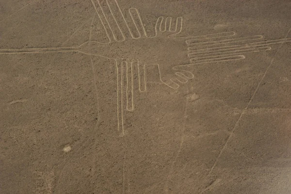 Disegni Linee Nazca Lineas Nazca Nel Deserto Nazca Perù Foto — Foto Stock
