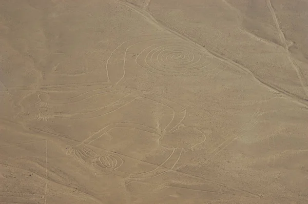 Nazca Çölü 'ndeki çizimler, Nazca çizgileri (Nazca çizgileri) - Peru. Yüksek kalite fotoğraf