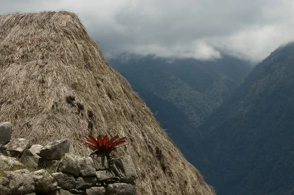 Machu Picchu Dağları Nın Kayıp Şehri Cusco Peru Yüksek Kalite — Stok fotoğraf