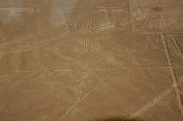 Disegni Linee Nazca Lineas Nazca Nel Deserto Nazca Perù Foto — Foto Stock