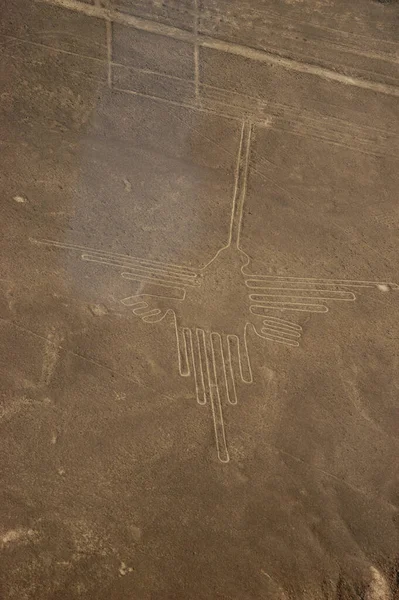 Disegni Linee Nazca Lineas Nazca Nel Deserto Nazca Perù Foto — Foto Stock