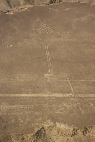 Nazca Çölü 'ndeki çizimler, Nazca çizgileri (Nazca çizgileri) - Peru. Yüksek kalite fotoğraf