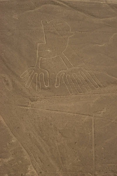 Disegni Linee Nazca Lineas Nazca Nel Deserto Nazca Perù Foto — Foto Stock