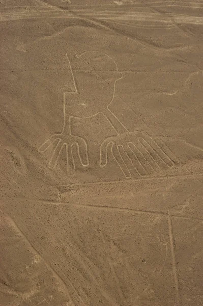 Disegni Linee Nazca Lineas Nazca Nel Deserto Nazca Perù Foto — Foto Stock