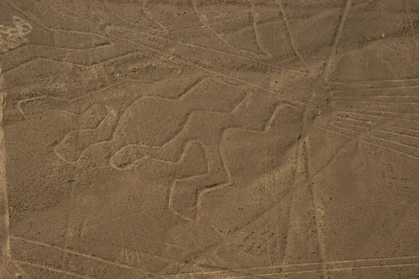 Disegni Linee Nazca Lineas Nazca Nel Deserto Nazca Perù Foto — Foto Stock
