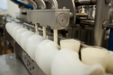 Peynir ve Süt Factory. Yüksek kalite fotoğraf