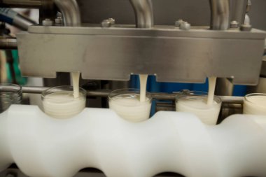 Peynir ve Süt Factory. Yüksek kalite fotoğraf