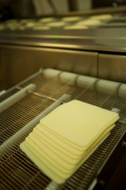 Peynir ve Süt Factory. Yüksek kalite fotoğraf