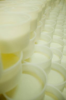 Peynir ve Süt Factory. Yüksek kalite fotoğraf