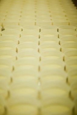 Peynir ve Süt Factory. Yüksek kalite fotoğraf