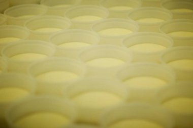 Peynir ve Süt Factory. Yüksek kalite fotoğraf