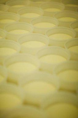 Peynir ve Süt Factory. Yüksek kalite fotoğraf