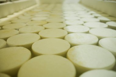 Peynir ve Süt Factory. Yüksek kalite fotoğraf