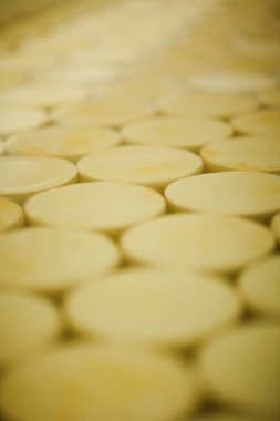 Peynir ve Süt Factory. Yüksek kalite fotoğraf