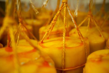 Peynir ve Süt Factory. Yüksek kalite fotoğraf