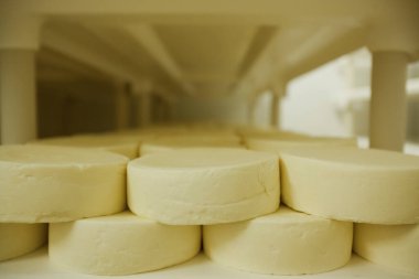 Peynir ve Süt Factory. Yüksek kalite fotoğraf