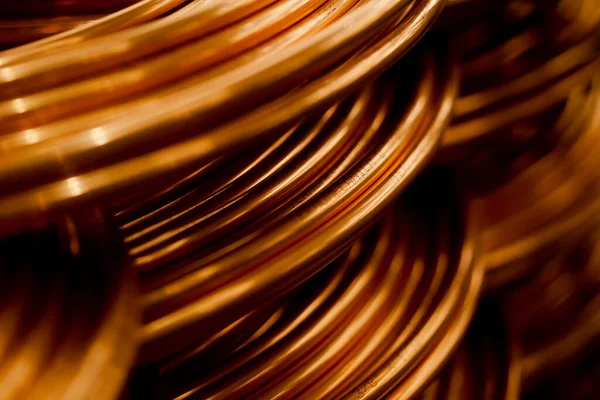 Fatório Cobra Fechar Detail Copper Foto Alta Qualidade — Fotografia de Stock