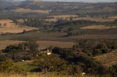Brezilya, Güney Amerika 'da bir kahve çiftliği manzarası. Yüksek kalite fotoğraf