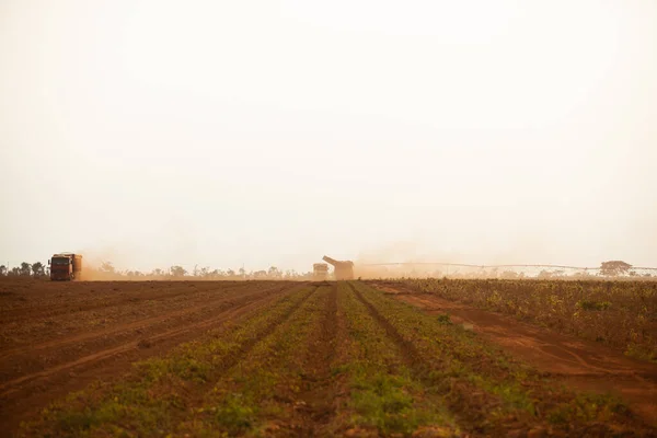 Combine Harvester Working Potato Field Harvesting Potatoes Agriculture Concept High — Stock fotografie