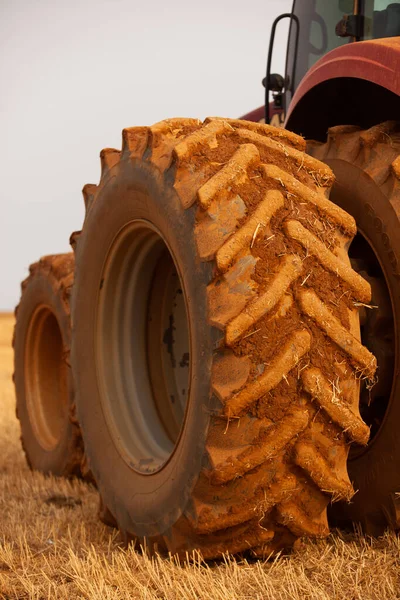 Combine Harvester Working Potato Field Harvesting Potatoes Agriculture Concept High — Foto de Stock