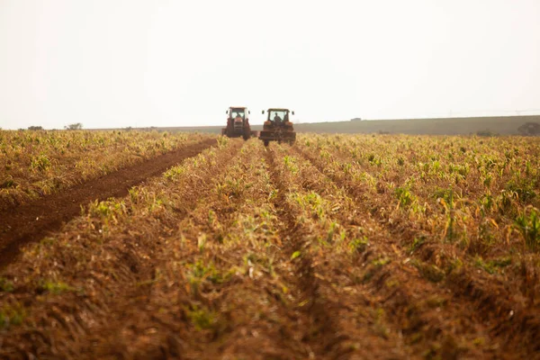 Combine Harvester Working Potato Field Harvesting Potatoes Agriculture Concept High — Foto de Stock