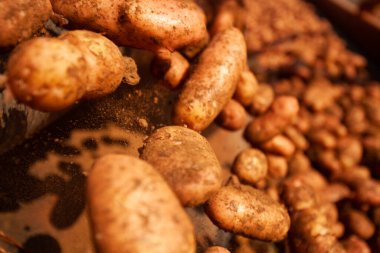 Fabrikanın içi. Cips üretimi. Fabrika ekipmanları, ürün üretim süreci. Yüksek kalite fotoğraf