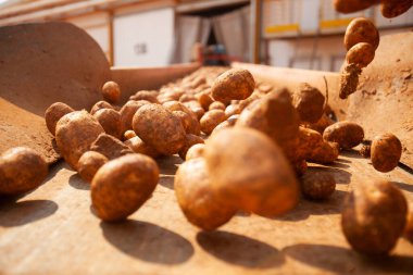 Fabrikanın içi. Cips üretimi. Fabrika ekipmanları, ürün üretim süreci. Yüksek kalite fotoğraf