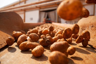 Fabrikanın içi. Cips üretimi. Fabrika ekipmanları, ürün üretim süreci. Yüksek kalite fotoğraf