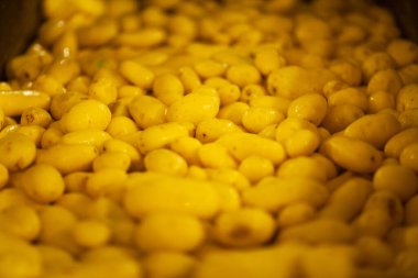 Fabrikanın içi. Cips üretimi. Fabrika ekipmanları, ürün üretim süreci. Yüksek kalite fotoğraf