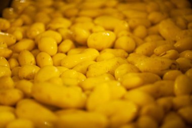 Fabrikanın içi. Cips üretimi. Fabrika ekipmanları, ürün üretim süreci. Yüksek kalite fotoğraf