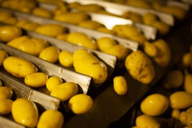 Fabrikanın içi. Cips üretimi. Fabrika ekipmanları, ürün üretim süreci. Yüksek kalite fotoğraf