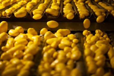 Fabrikanın içi. Cips üretimi. Fabrika ekipmanları, ürün üretim süreci. Yüksek kalite fotoğraf