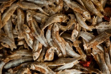 sardine fish sprats smoked or salted seafood mackerel at a street food market stand. food background rustic High quality photo