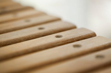 image of music class key. children learning music. musical notes. High quality photo