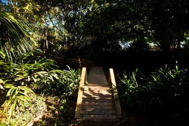 Amazingly beautiful waterfall and body fo water in central Brazil. High quality photo