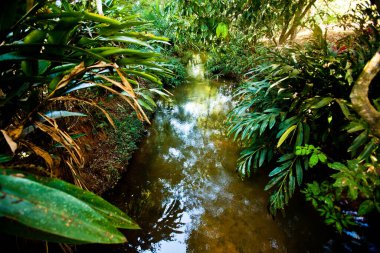 Amazingly beautiful waterfall and body fo water in central Brazil. High quality photo