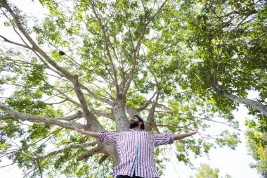 Güneşli bir günde parktaki gülümseyen genç adamın portresi. Büyük bir ağacın önünde kollarını açmış bir adam. Yeşil ve doğa geçmişi. Yüksek kalite fotoğraf