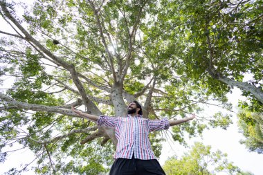 Güneşli bir günde parktaki gülümseyen genç adamın portresi. Büyük bir ağacın önünde kollarını açmış bir adam. Yeşil ve doğa geçmişi. Yüksek kalite fotoğraf