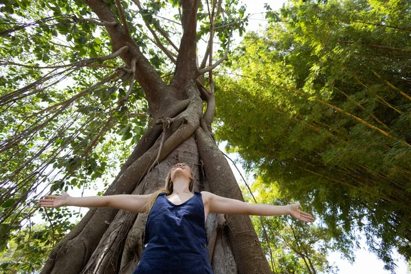 Güneşli bir günde parkta gülümseyen genç bir kadının portresi. Büyük bir ağacın önünde kollarını açmış bir kadın. Yeşil ve doğa geçmişi. Yüksek kalite fotoğraf