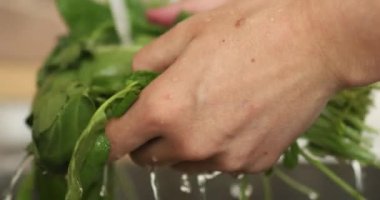  Genç bir kadın mutfakta salata yıkıyor.. 