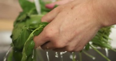  Genç bir kadın mutfakta salata yıkıyor.. 