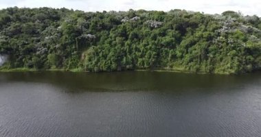 Güzel yeşil bir parkın insansız hava aracı manzarası. Devasa bir su kütlesi, yukarıdan gelen göl..