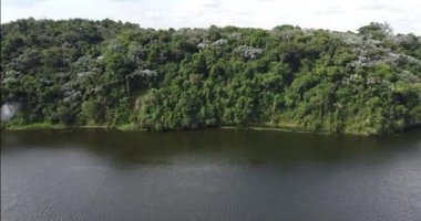 Güzel yeşil bir parkın insansız hava aracı manzarası. Devasa bir su kütlesi, yukarıdan gelen göl..