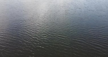 Doğadaki göle yukarıdan bakan drone görüntüsü.