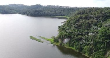 Güzel yeşil bir parkın insansız hava aracı manzarası. Devasa bir su kütlesi, yukarıdan gelen göl..