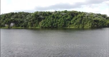 Güzel yeşil bir parkın insansız hava aracı manzarası. Devasa bir su kütlesi, yukarıdan gelen göl..