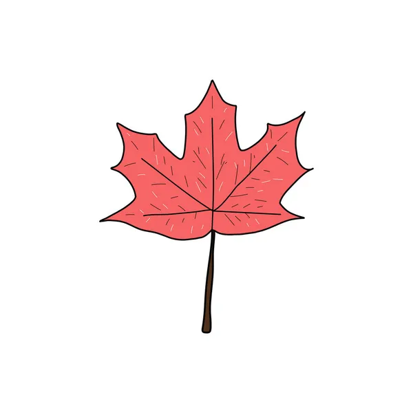 Icon Red Maple Leaf White Background Decorative Design — Stock Vector