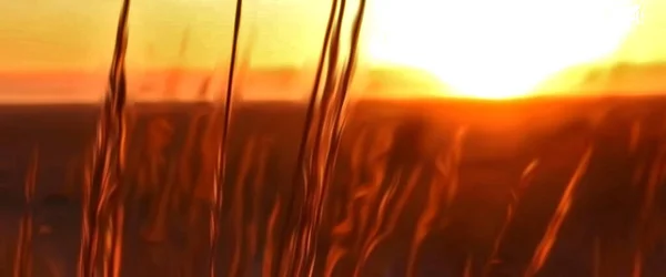 Denizin bulanık desenli soyut arkaplan