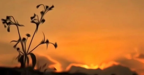 Dağlarda güzel bir gün batımı